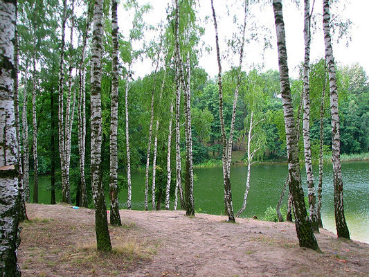 Karwosieki-Noskowice
