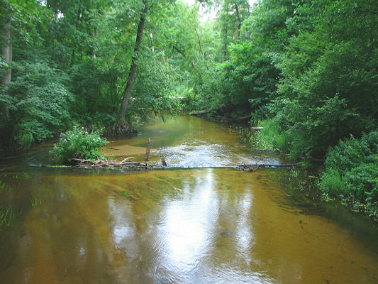 Brudzeński Park Krajobrazowy
Rzeka Skrwa
