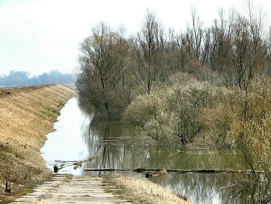 Wały nad Wisłą
Wisła w okolicy Liszyna

