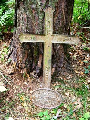 Krzyż z grobu Tosi Gockowskiej - Las Brwilno 
Kilka lat temu usłyszałem informację o grobie dwójki dzieci (chłopca i dziewczynki), którzy w drugiej połowie XIX w. zmarły w na cholerę i zostały pochowane w pobliskim lesie. W tym roku, całkiem przypadkowo szukając innego grobu, wraz z ekipą tradytora.pl natknęliśmy  się na żeliwny krzyż, który pochodzi z jednego z tych  grobów. Na krzyżu widnie napis: Ś.P. Tosia Gockowska ur. 10 września 1880 umarła 10 stycznia 1883.  
