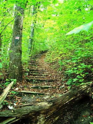 Jesień w Rezerwacie Sikórz
