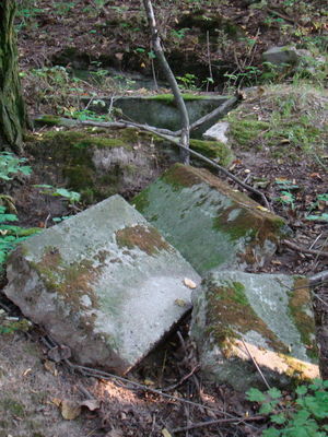 Cmentarz w Powsinie
Obecny widok cmentarza.
