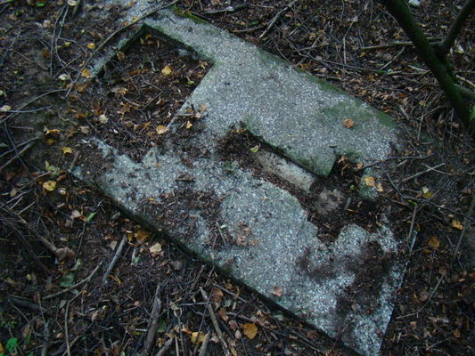 Cmentarz w Powsinie
Jedna z dwóch zachowanych płyt nagrobnych na cmentarzu.
