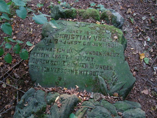 Cmentarz w Powsinie.
Jedyny zachowany kamienny nagrobek. Jednak jak na zdjęciu widać jest oderwany od grobu, a także zniszczony m.in. poprzez wyrycie na nim pentagramu. 
