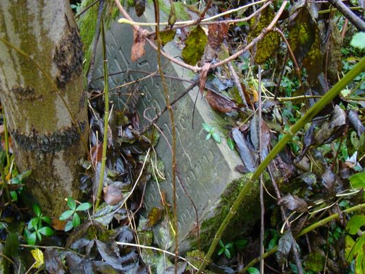 Cmentarz ewangelicki - Nowy Troszyn
Cmentarz na planie prostokąta, na sztucznie usypanym wzniesieniu, które było pierwotnie na wysokości ówczesnego wału przeciwpowodziowego (obecnie wał jest w innym miejscu, stary wał obniżono tworząc na nim drogę). Cmentarz znajduje się właśnie przy samym wale. Znajduje się naprzeciwko punktu stopnia wodnego (biały budynek). Nagrobki zniszczone, cmentarz całkowicie porasta roślinność pnąca, drzewa, krzaki.
